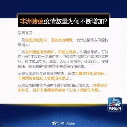 违法违纪爆料央视新闻调查,揭开违法违纪黑幕