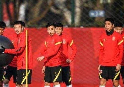 男足爆料吃海参视频,一场关于营养与公平的争议
