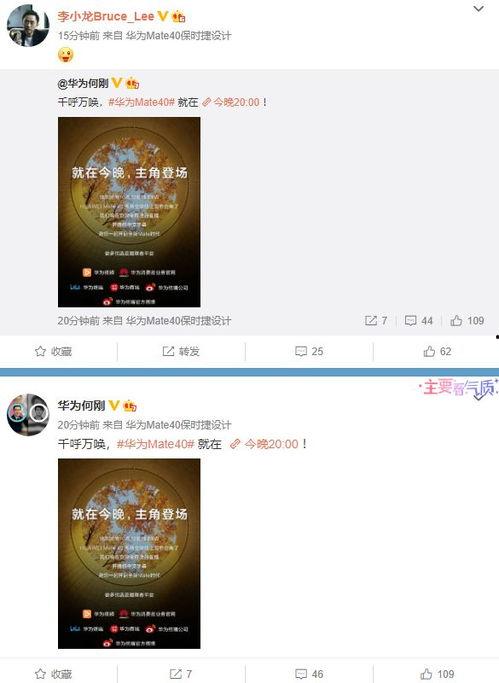 热播爆料视频大全最新,揭秘娱乐圈最新动态，精彩瞬间一网打尽！