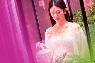 谢娜护士爆料视频播放在线观看,揭秘幕后的真实故事