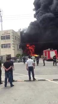 嘉兴平湖爆料事件视频,视频揭露惊人真相