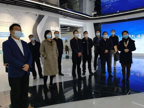 都市爆料新闻视频,揭秘视频背后的惊人真相