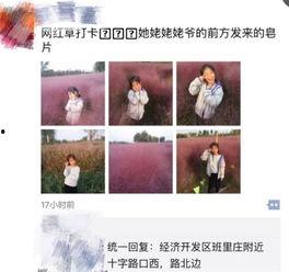 淄博网红爆料最新消息今天,今日热点事件大盘点！”