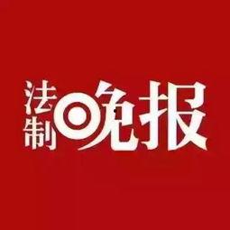 鲁美最新爆料新闻,揭秘娱乐圈惊人内幕