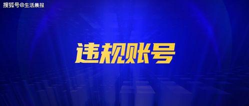 鲁美最新爆料新闻,揭秘娱乐圈惊人内幕