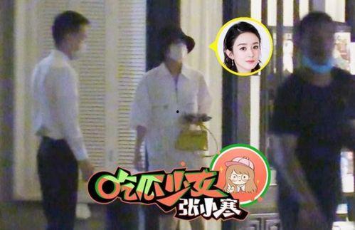 赵丽颖儿子最新爆料,家庭温馨日常大揭秘
