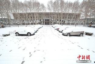 西安爆料大雪事件视频播放,视频播放引发热议