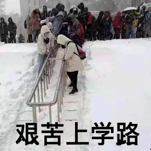 西安爆料大雪事件视频播放,视频播放引发热议