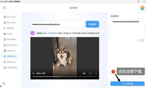 狗仔爆料抖音视频下载,揭秘热门短视频背后的秘密