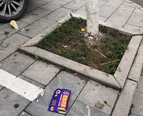 最新爆料黄梅,揭秘背后惊人真相