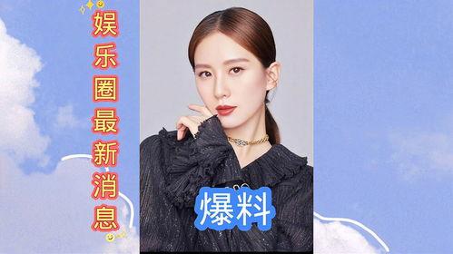娱乐圈最新爆料2021,揭秘年度爆笑、泪点、反转大事件
