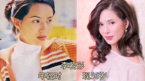 娱乐圈大爆料天涯,天涯揭秘明星背后的秘密