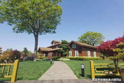 贵州驾校爆料最新消息查询,驾校改革动态及学员心声大揭秘