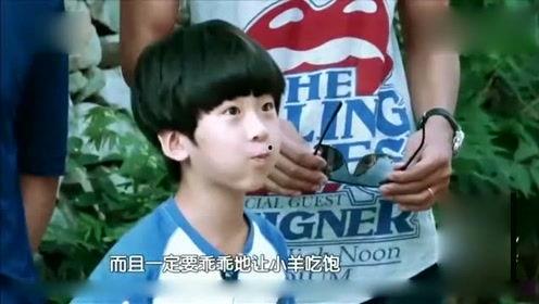 娱乐八卦爆料恋情p图,明星恋情P图风波，真相究竟如何？