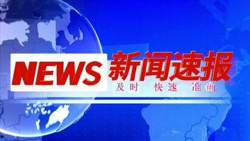 家庭新闻爆料素材大全,爆笑爆料，温馨瞬间，尽在素材大全