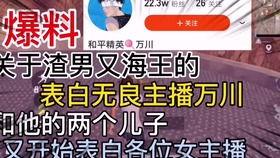 哈利新转盘直售爆料视频,揭秘神秘玩法与丰厚奖励