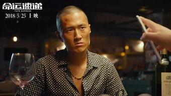 命运速递在线观看,命运交织的青春冒险之旅