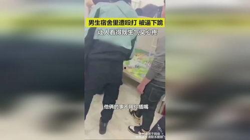 网友爆料霸凌男生视频,网友实名举报，真相令人震惊