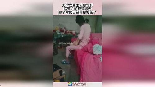 女生租房爆料视频大全下载,视频大全背后的真实故事
