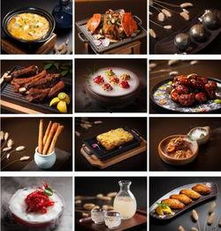 亮哥美食爆料视频下载,视频内容大汇总
