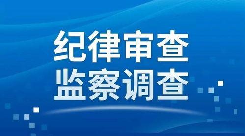 长春头条今日爆料,揭秘背后惊人真相！