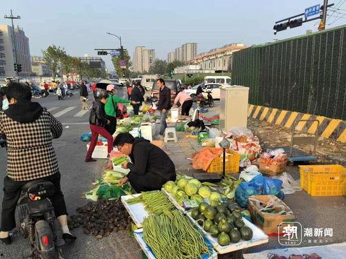 爆料东北早市视频,视频曝光传统市井生活百态