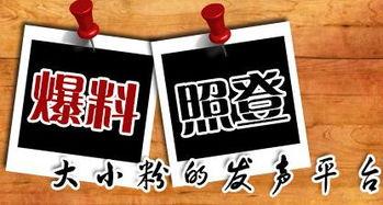 新闻有偿爆料平台,利益诱惑下的新闻伦理困境