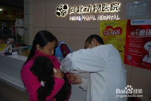 石家庄医院爆料事件最新,事件真相与医疗伦理争议再掀波澜