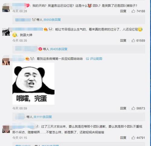 吴瑾言娱乐爆料,揭秘明星幕后故事