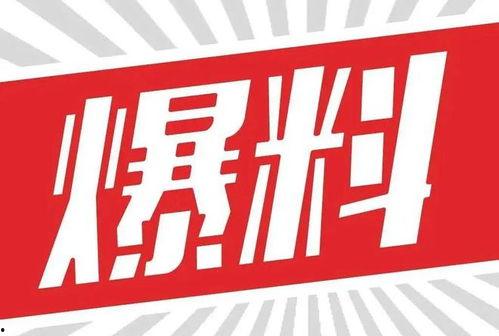 爆料视频获奖了吗,获奖与否成为焦点