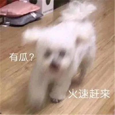 吃瓜娱乐圈聊天记录截图,揭秘明星私下真实互动！