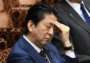爆料日本首相视频大全,视频大全背后的权力与真相