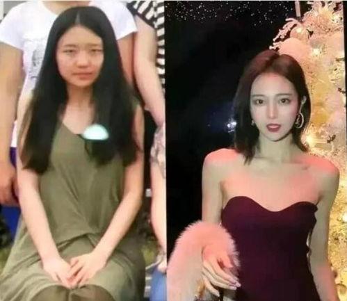 潮汕天涯最新爆料惠子事件,惠子事件最新爆料，真相究竟如何？