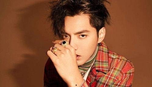 是谁爆料的吴亦凡视频,揭秘背后爆料者的神秘身份