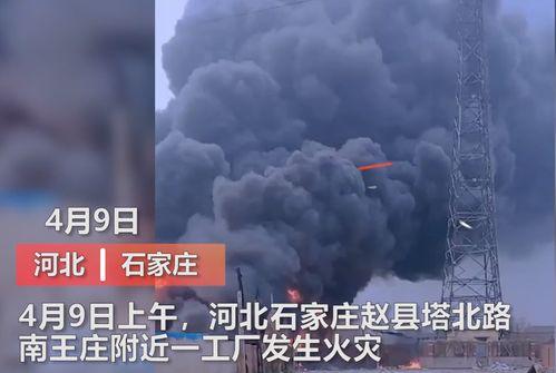 巡洋传媒爆料视频最新,揭秘娱乐圈最新动态