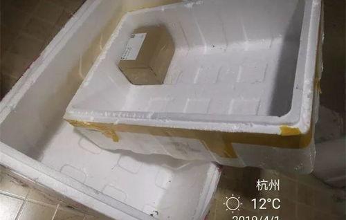 泡沫箱子爆料视频教程,轻松制作实用收纳神器