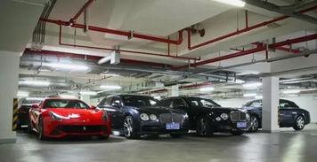 郑州豪车爆料视频曝光,豪车云集，一窥城市奢华风采