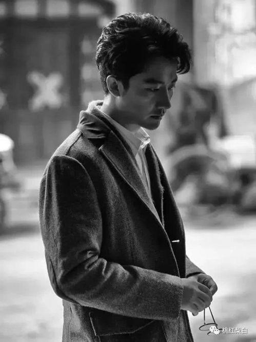 娱乐圈黄轩爆料,那些不为人知的真相