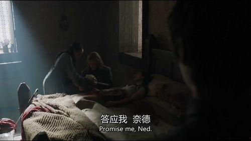 别当网红吃瓜的雪诺