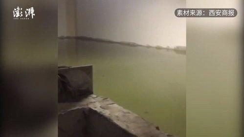 太原楼道爆料视频大全集,揭秘社区生活点滴