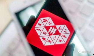 娱乐素材爆料,明星幕后故事大揭秘