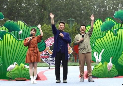 圆神最新爆料网站大全视频,网站大全视频深度解析