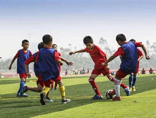 足球青训队爆料新闻稿,独家爆料背后的青训故事