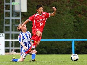 足球青训队爆料新闻稿,独家爆料背后的青训故事