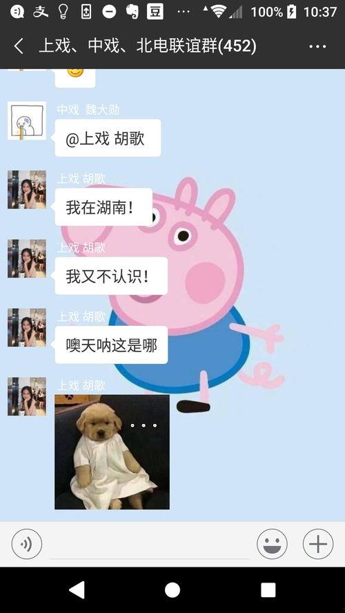 娱乐圈爆料微信群,揭秘明星幕后故事，独家爆料一网打尽