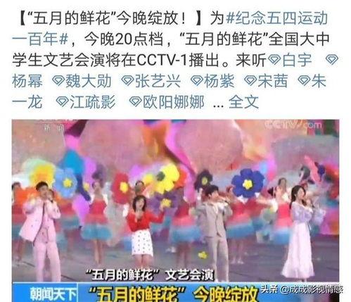 杨帆爆料节目单视频播放,精彩内容抢先看