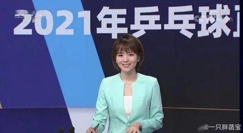 小蔡爆料解说视频大全,揭秘幕后故事与精彩瞬间