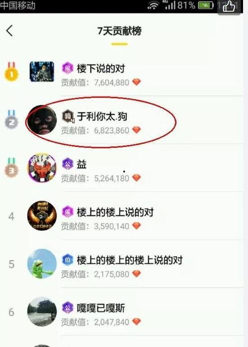 yy哦哦哦真实最新爆料,揭秘娱乐圈惊人内幕