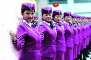 大航乘务员爆料 新闻,内部真相曝光