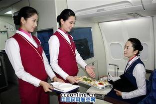 大航乘务员爆料 新闻,内部真相曝光